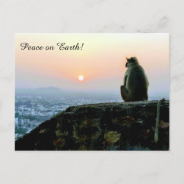 Weltfrieden Meditation Affe Indien Sunset Postkarte