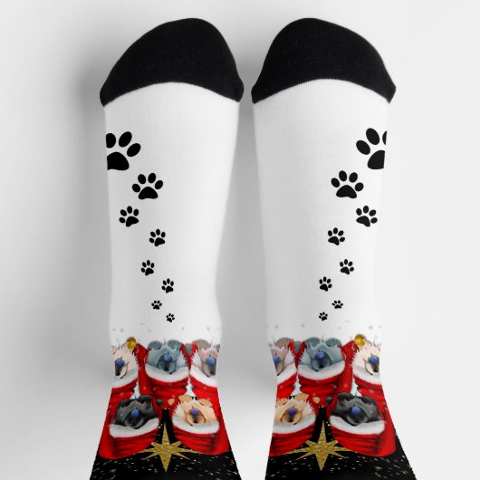 WELTFRIEDEN Rough Chow Crew Socken (Oben)