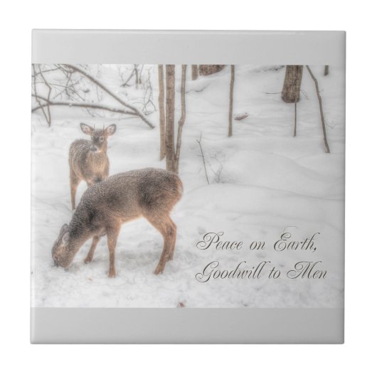 Weltfrieden - zwei Hirsche in schneebedeckten Wäld Fliese (Vorderseite)