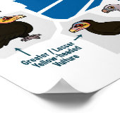 Weltgeier Poster (Ecke)