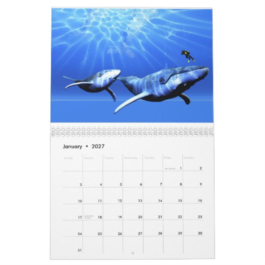 Weltkalender für den Ozean - Wale Kalender (Jan 2027)