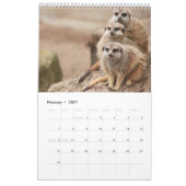 Weltkalender für Wildtiere Kalender (Feb 2027)