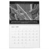 Weltkalender Kalender (Mär 2027)