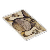 Weltkarte für Fool's Cap Magnet (Rechte Seite)