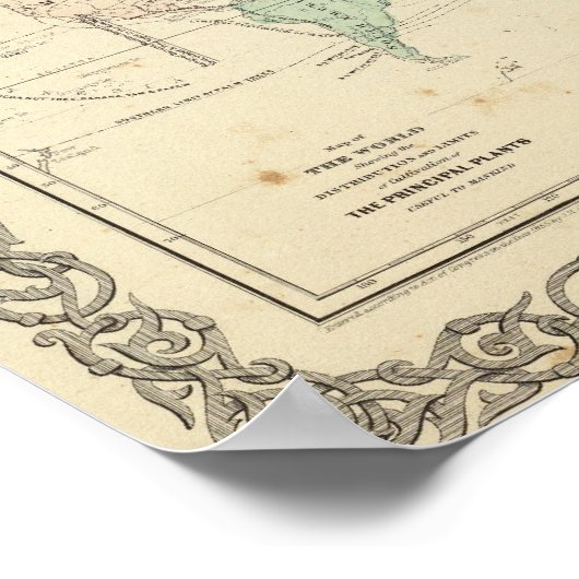 Weltkarte Poster (Ecke)