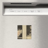 Weltkarten Magnet (In Situ (Geschirrspüler))
