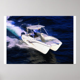 Weltkatze 250DC Poster