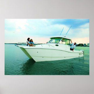 Weltkatze 270EC Poster