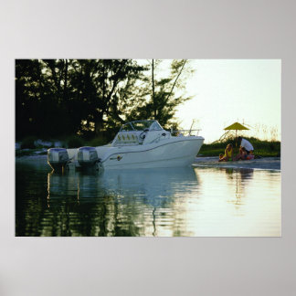 Weltkatze 270SC Poster