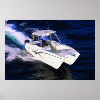 Weltkatze 270SD Poster