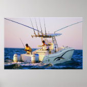 Weltkatze 270TE Poster (Vorne)