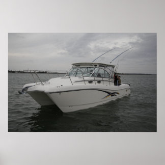 Weltkatze 320EC Poster