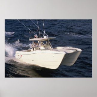 Weltkatze 330TE Poster