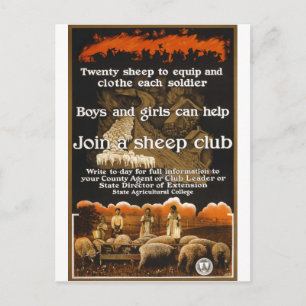 Weltkrieg 1 Schaf Poster Werbung Postkarte