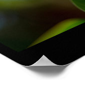 WeltLizard-Tag, Leguana Poster (Ecke)