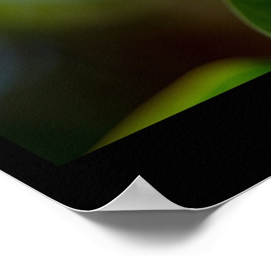 WeltLizard-Tag, Leguana Poster (Ecke)