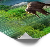 Weltmeere und -flüsse, Seen und Sport Poster (Ecke)