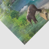 Weltmeere und -flüsse, Seen und Sport Seidenpapier (Ausschnitt)