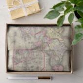 Weltmercator proj 2 seidenpapier (Geschenk)