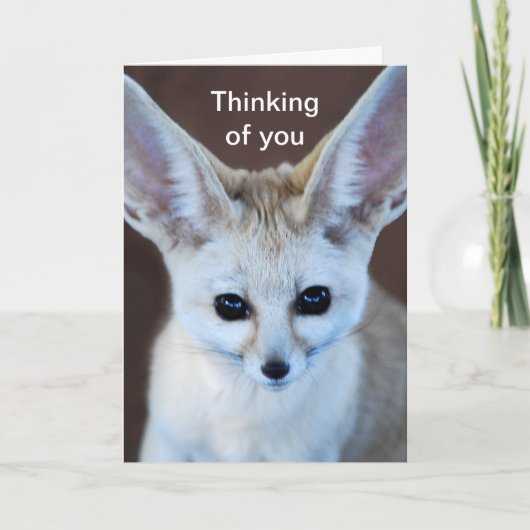 Weltniedlichster Fennec Fox Karte (Vorderseite)