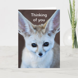 Weltniedlichster Fennec Fox Karte