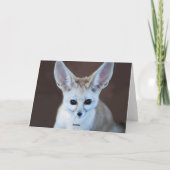 Weltniedlichster Fennec Fox Karte (Rückseite)