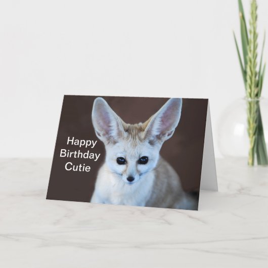 Weltniedlichster Fennec Fox Karte (Vorderseite)