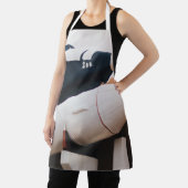 Weltraum Schürze (InSitu)