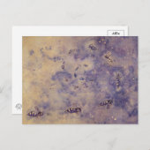 Weltraumbienen-Postkarte Postkarte (Vorne/Hinten)