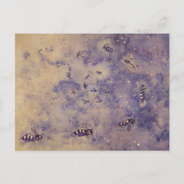 Weltraumbienen-Postkarte Postkarte