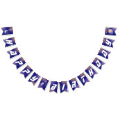 WeltraumGeburtstagsfeier Wimpelkette (Alle)