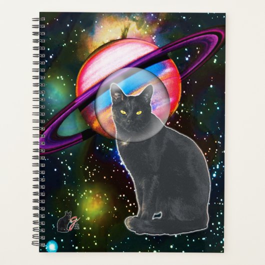Weltraumkatze Cosmo Planer (Vorderseite)