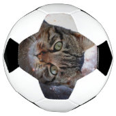 Weltraumkatze Fußball (Gedreht)