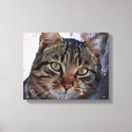 Weltraumkatze Leinwanddruck (Vorderseite)