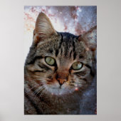 Weltraumkatze Poster (Vorne)