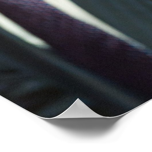 Weltschachmeister Vishy Anand Poster (Ecke)