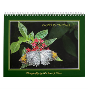 * Weltschmetterlings-Wandkalender 2019 Kalender