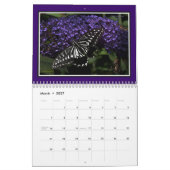 * Weltschmetterlings-Wandkalender 2019 Kalender (Mär 2027)