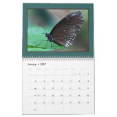 * Weltschmetterlings-Wandkalender 2019 Kalender (Jan 2027)