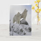 "Weltspitze-" Gruß-Karte Karte (Gelbe Blume)