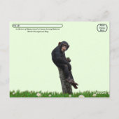 Welttag der Schimpansen verschieben - 14. Juli Postkarte (Rückseite)