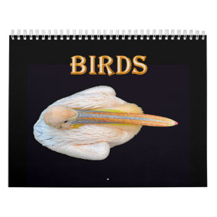 Weltvögel Kalender