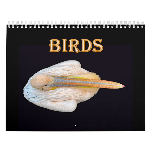 Weltvögel Kalender (Titelbild)