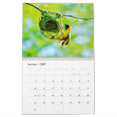 Weltvögel Kalender (Jan 2027)