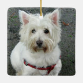 WELTWEIT BESTER HUND Schwarz-weiß Tan Kariert Keramikornament (Rückseite)