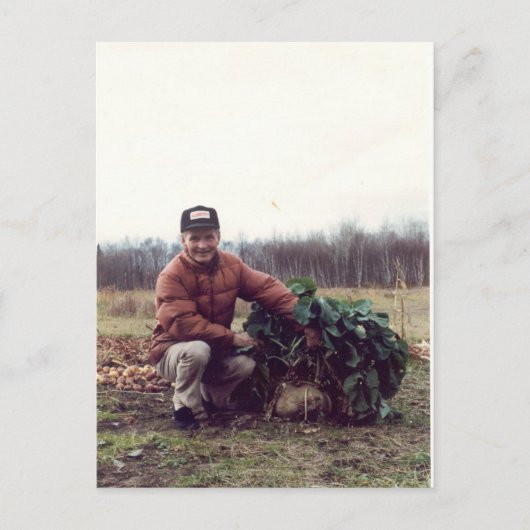 Weltweit größte rutabaga! postkarte (Vorderseite)