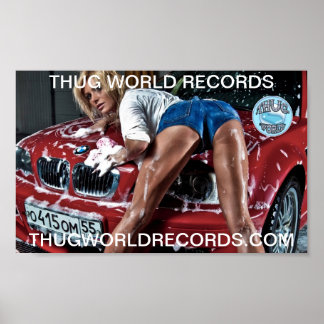 Weltweit Platten waschen Poster