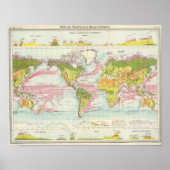 Weltweite Karte für Vegetation und Meeresströmunge Poster (Vorne)