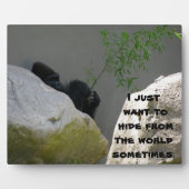 WELTWEITEN FOTOPLATTE (Vorderseite)