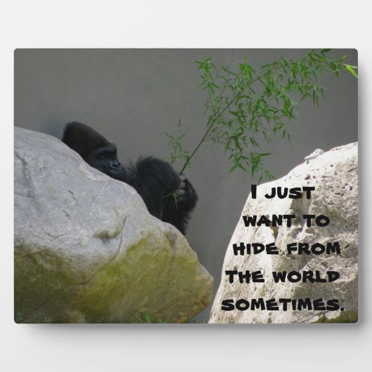 WELTWEITEN FOTOPLATTE (Vorderseite)